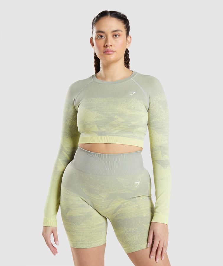 Adapt Ombre Crop Top Triangel-taupe Grau Gymshark