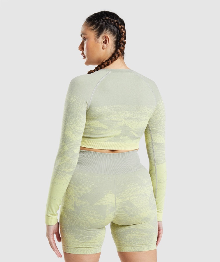 Adapt Ombre Crop Top Triangel-taupe Grau Gymshark