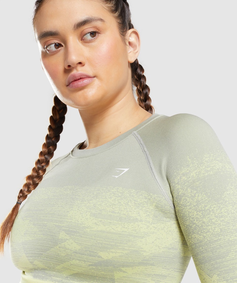 Adapt Ombre Crop Top Triangel-taupe Grau Gymshark