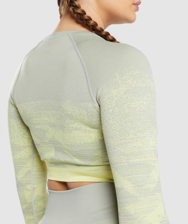 Adapt Ombre Crop Top Triangel-taupe Grau Gymshark