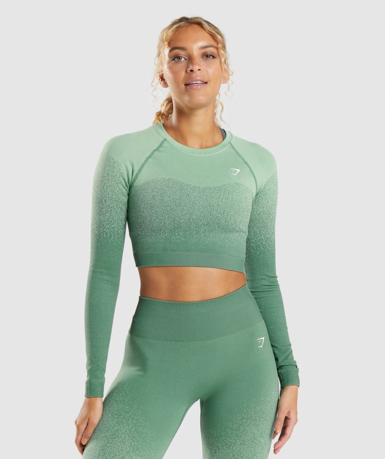 Adapt Ombre Nahtloses Langärmliges Bauchfreies Top Grün-hellgrün Gymshark
