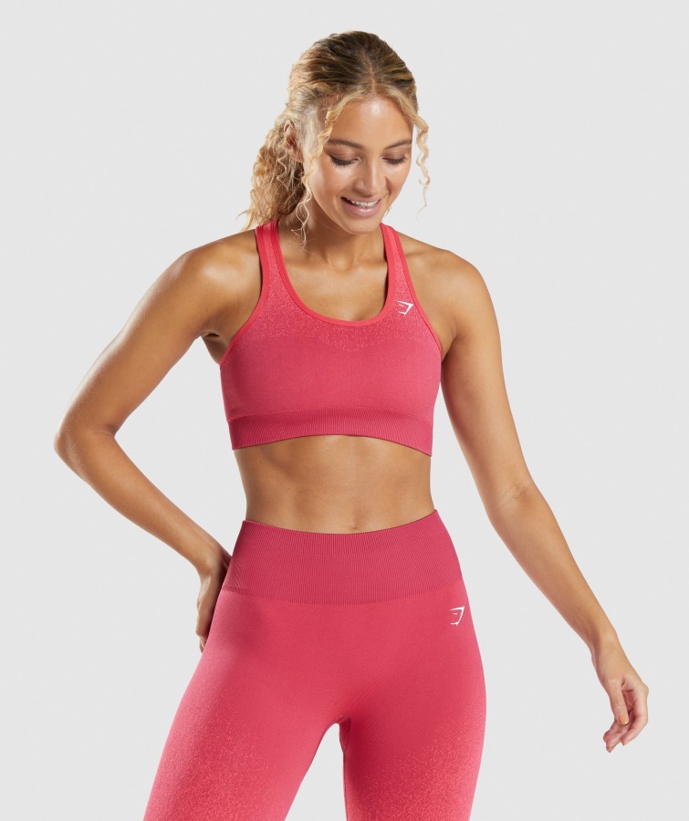 Gymshark Adapt Ombre Nahtloser Sport-BH Rosa-rot