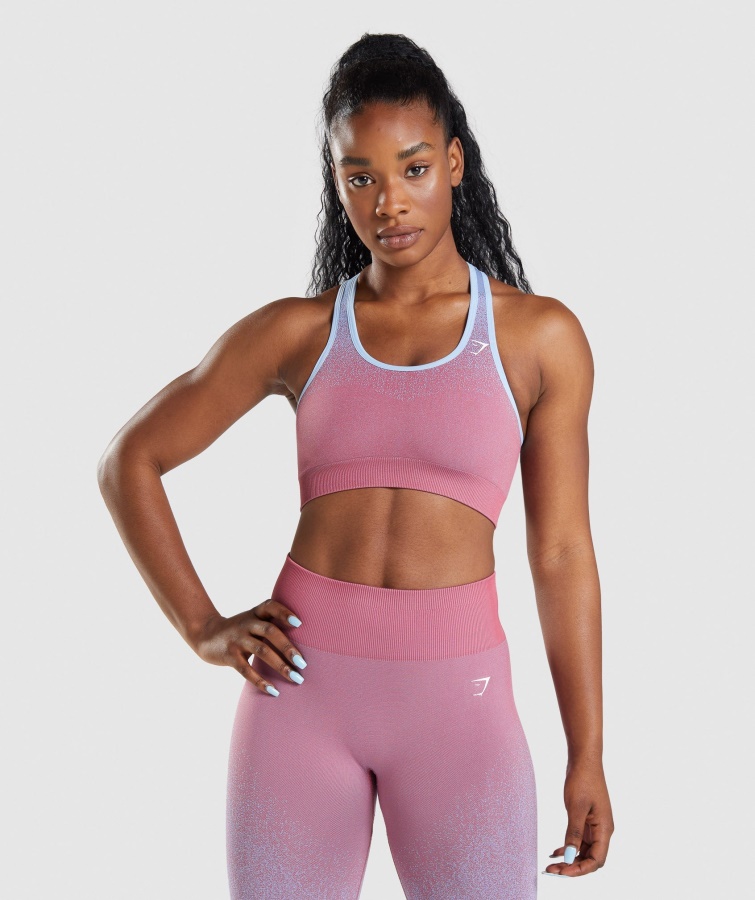 Gymshark Adapt Ombre Nahtloser Sport-BH Rosa-hellblau