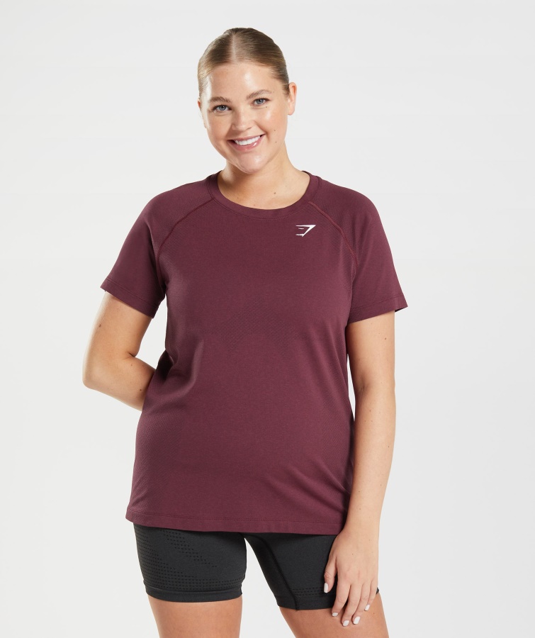 Gymshark Baked Maroon Merl Vital Seamless 2.0 Light T-Shirt