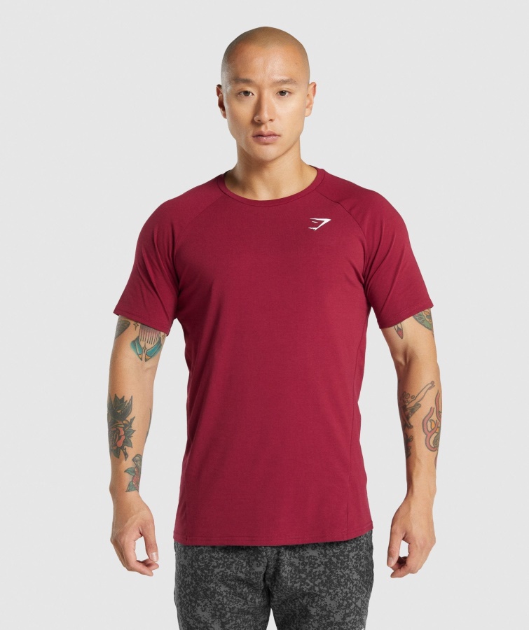 Gymshark Burgunder Critical 2.0 T-Shirt