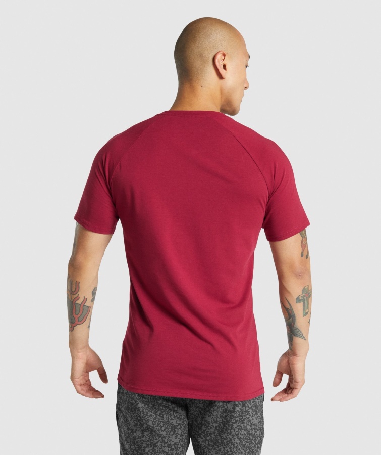 Gymshark Burgunder Critical 2.0 T-Shirt