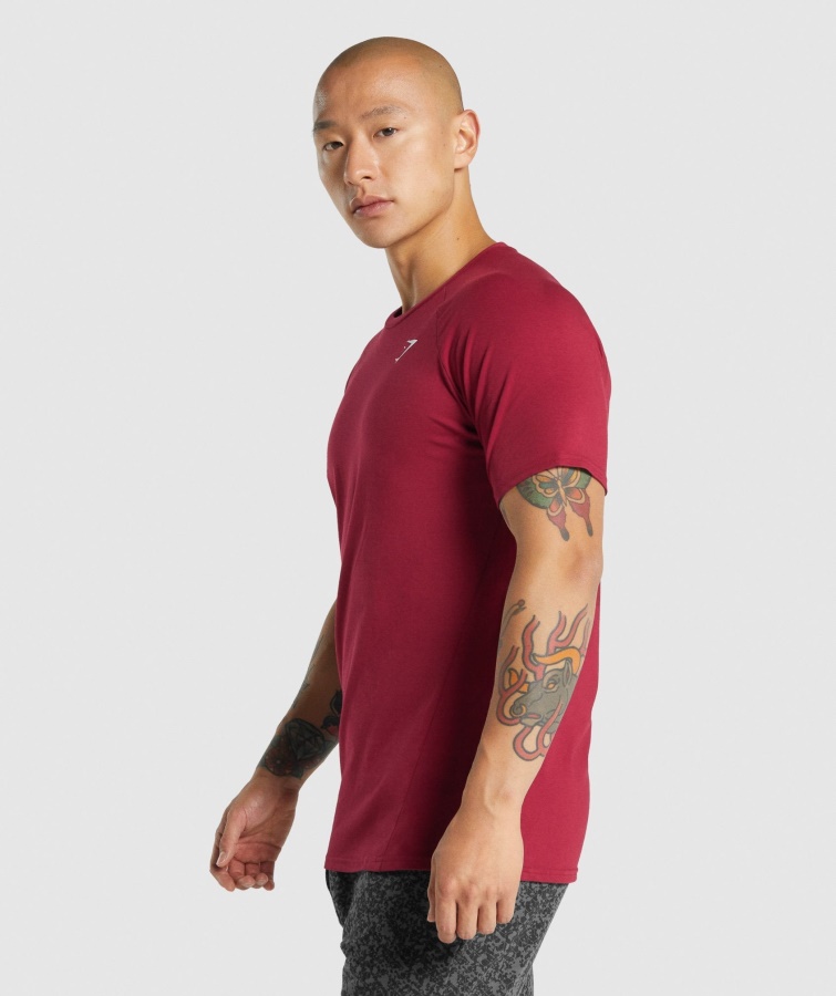 Gymshark Burgunder Critical 2.0 T-Shirt