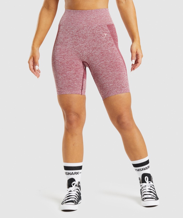 Gymshark Bordeaux Meliert Flex Radhose