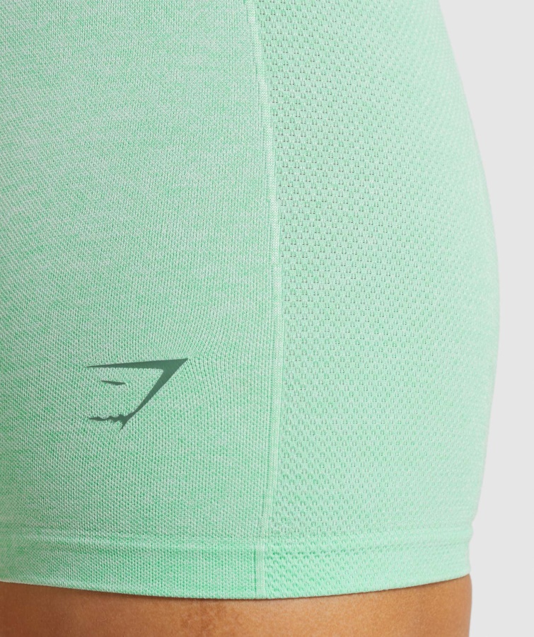 Gymshark Kaktusgrün Meliert Flex Shorts