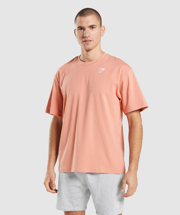 Gymshark Essential T-Shirt In Übergröße, Nevada Pink