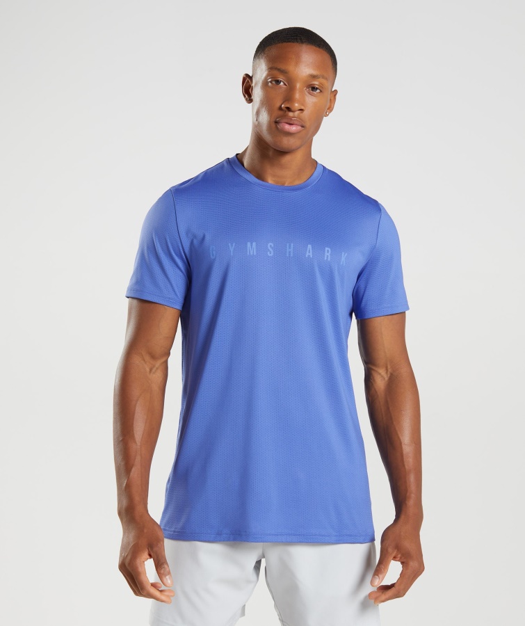 Sport Streifen T-shirt Court Blue Gymshark